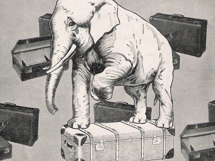 About_page_1912_V2_image_7c8e753c-f064-42fa-a1bd-c0605ae3024f