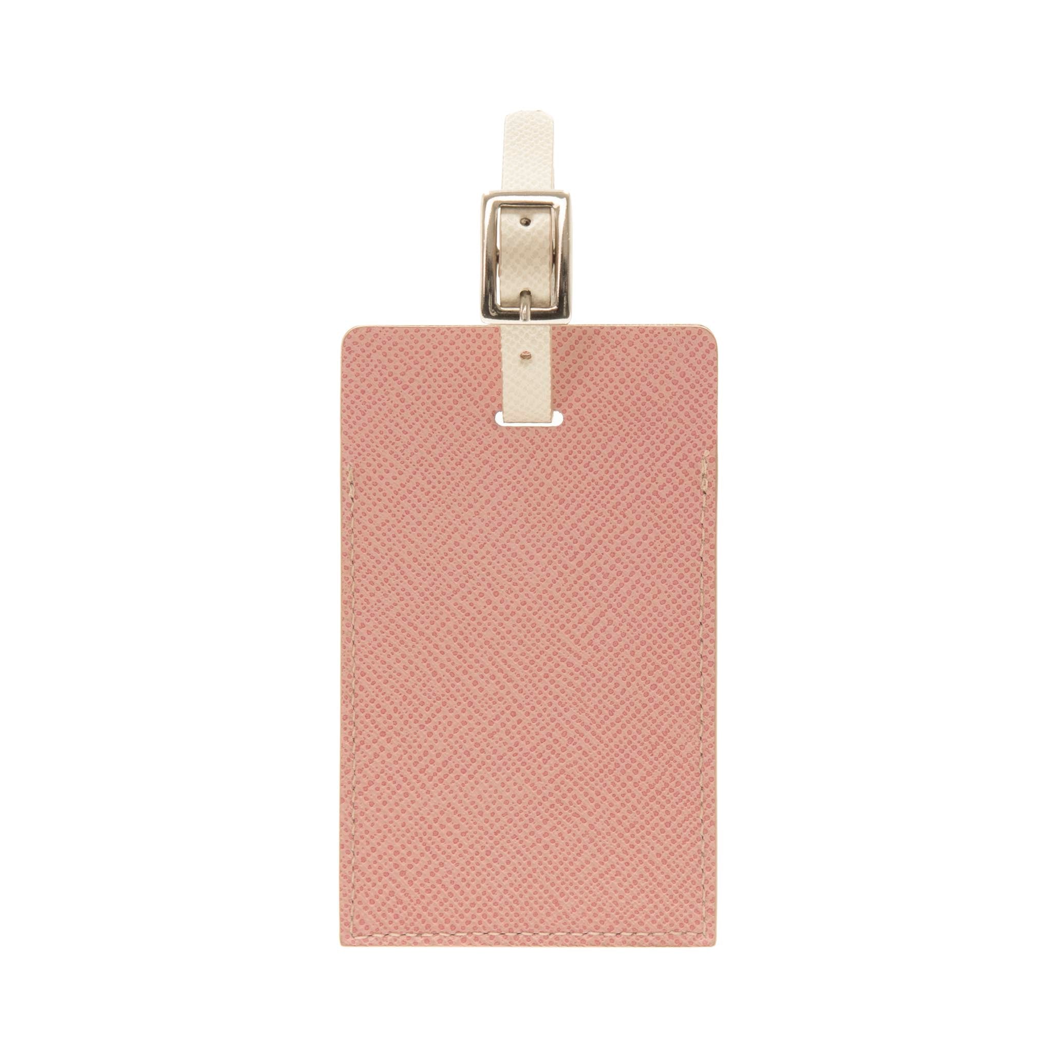 Jet · Luggage Tag | Baby Blue/Baby Pink/Chrome